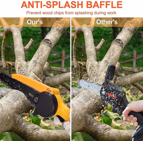 Nueva llegada actualizada 4